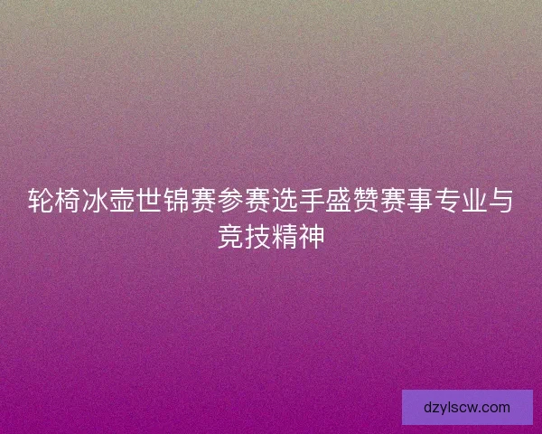 轮椅冰壶世锦赛参赛选手盛赞赛事专业与竞技精神